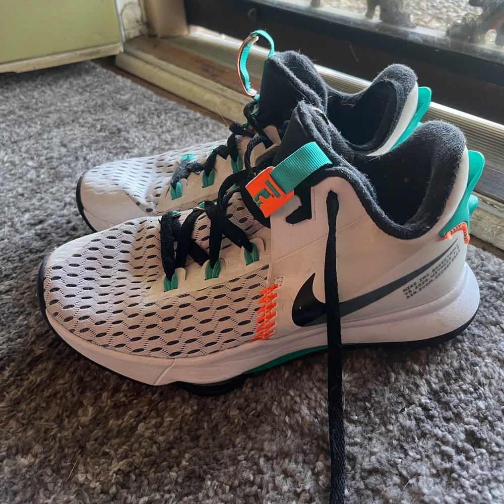 Nike Lebron Basketball Shoes